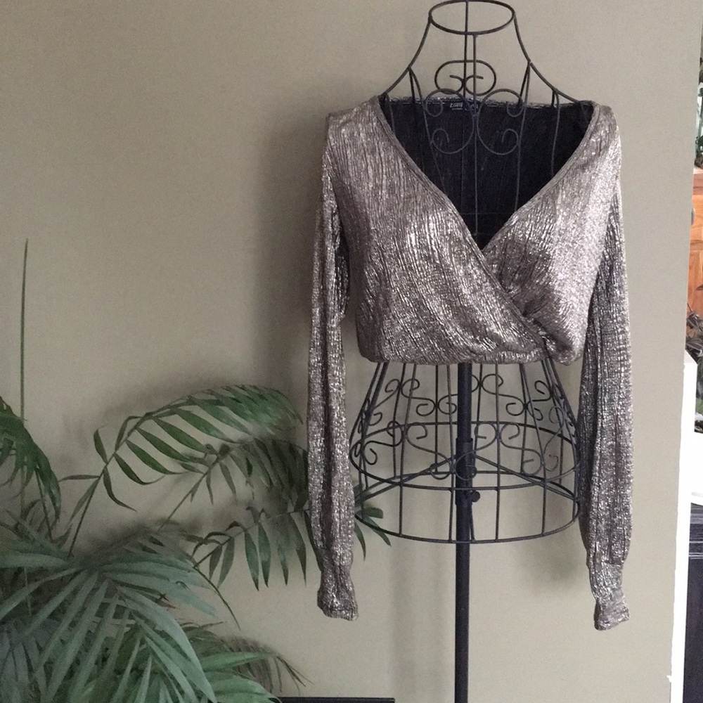 🥀DONATING 12/30 Long Sleeve Metallic Crop Top Deep V - Picture 1 of 7